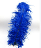 Straussenfeder 30cm blau